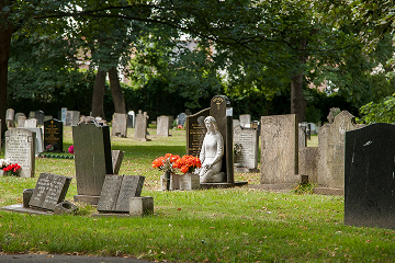 Blog Image